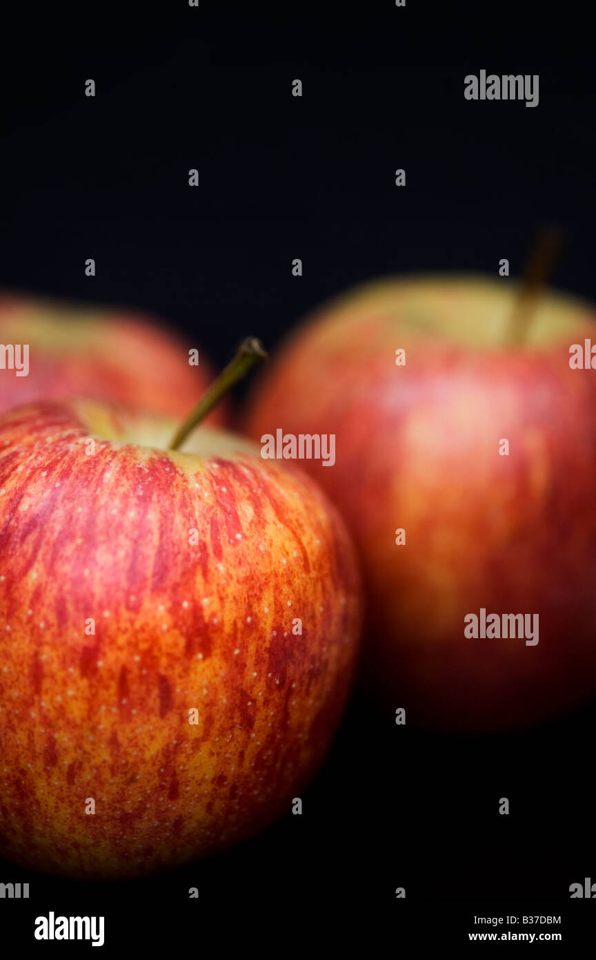 Malus Domestica. Royal Gala Äpfel vor schwarzem Hintergrund Stockfoto