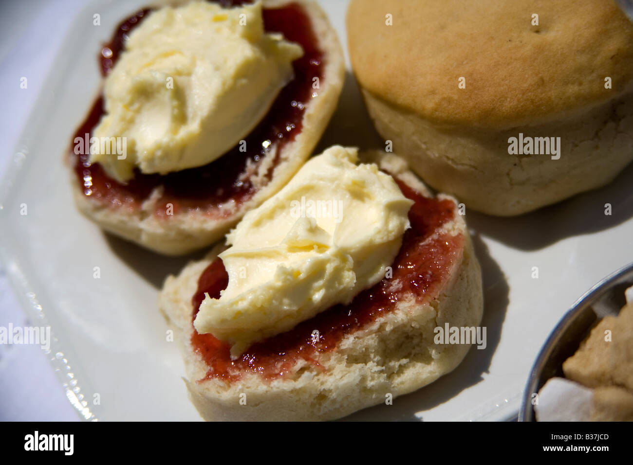 Cornish Cream tea Stockfoto