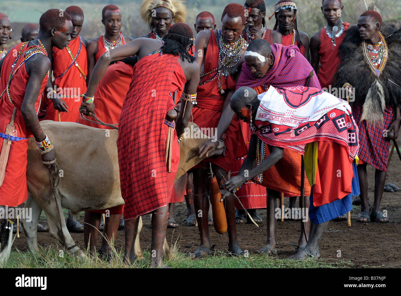 Masai Dorfbewohner üben Venenpunktion Stockfoto