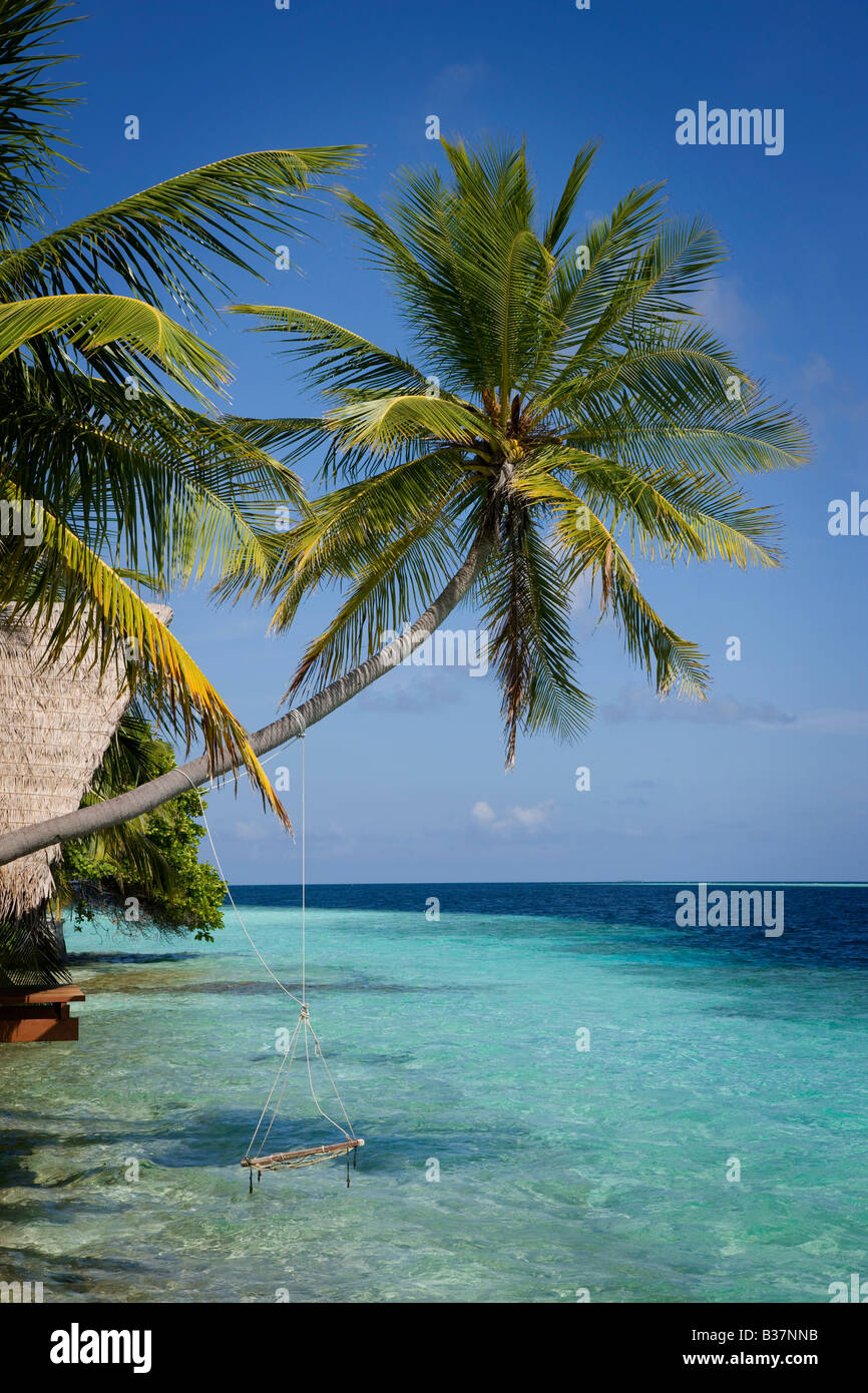 Seil Schaukel auf Süd Ari Atoll auf den Malediven in der Nähe von Indien Stockfoto