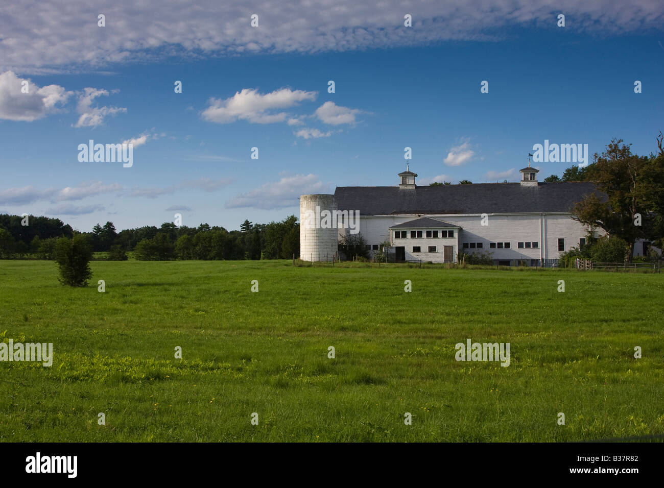 Scheune und Silo bei einer neu-England-Farm in North Hampton, New Hampshire Stockfoto