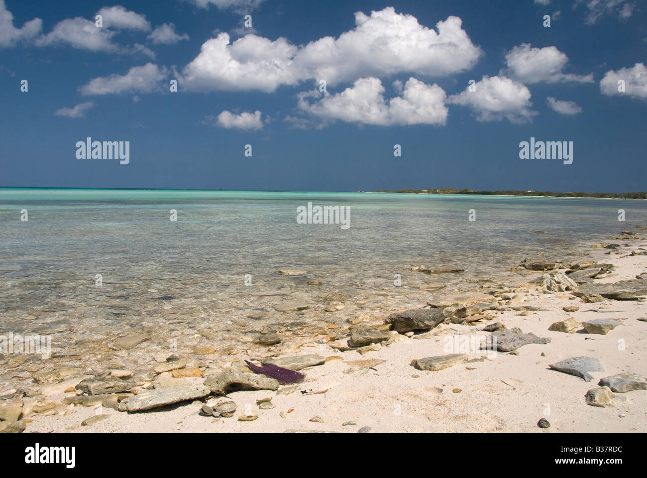 eine kubanische Seenlandschaft Stockfoto