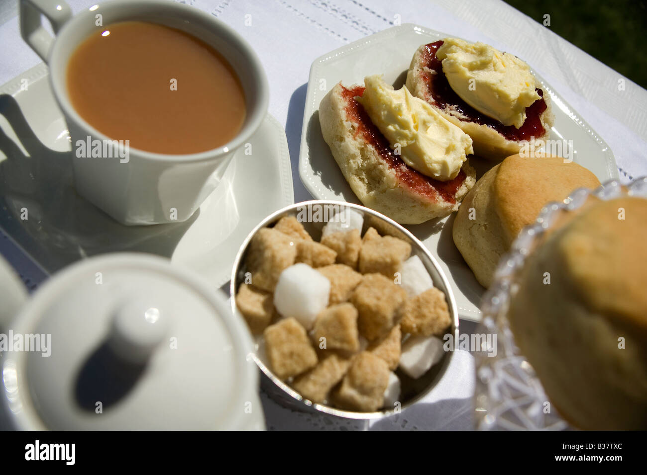 Cornish Cream tea Stockfoto