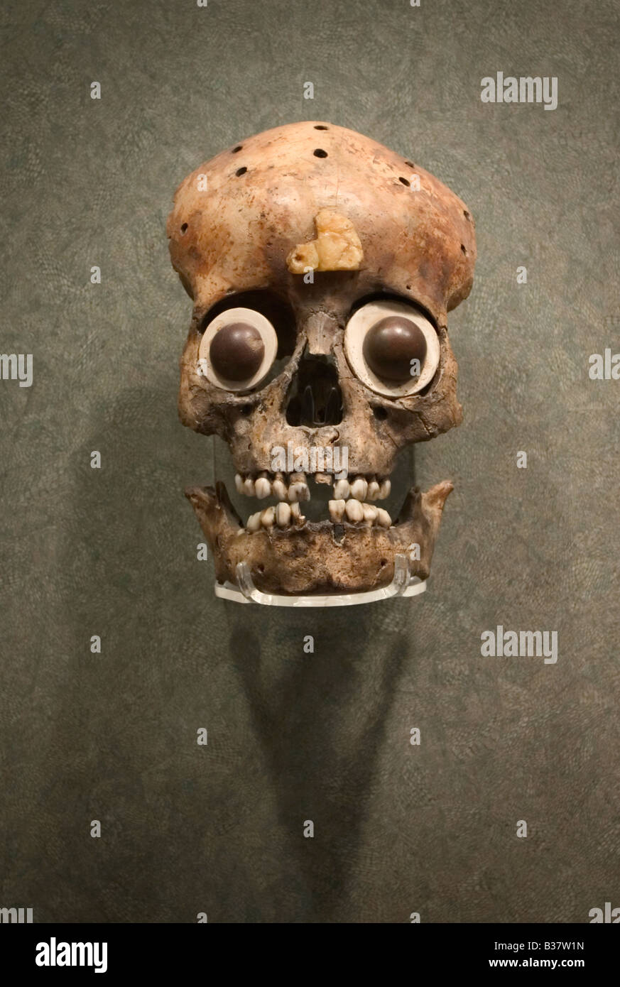 Azteken (Mexica) Kindes verziert Skull Maske in dem Nationalmuseum für Anthropologie in Mexiko-Stadt. Stockfoto