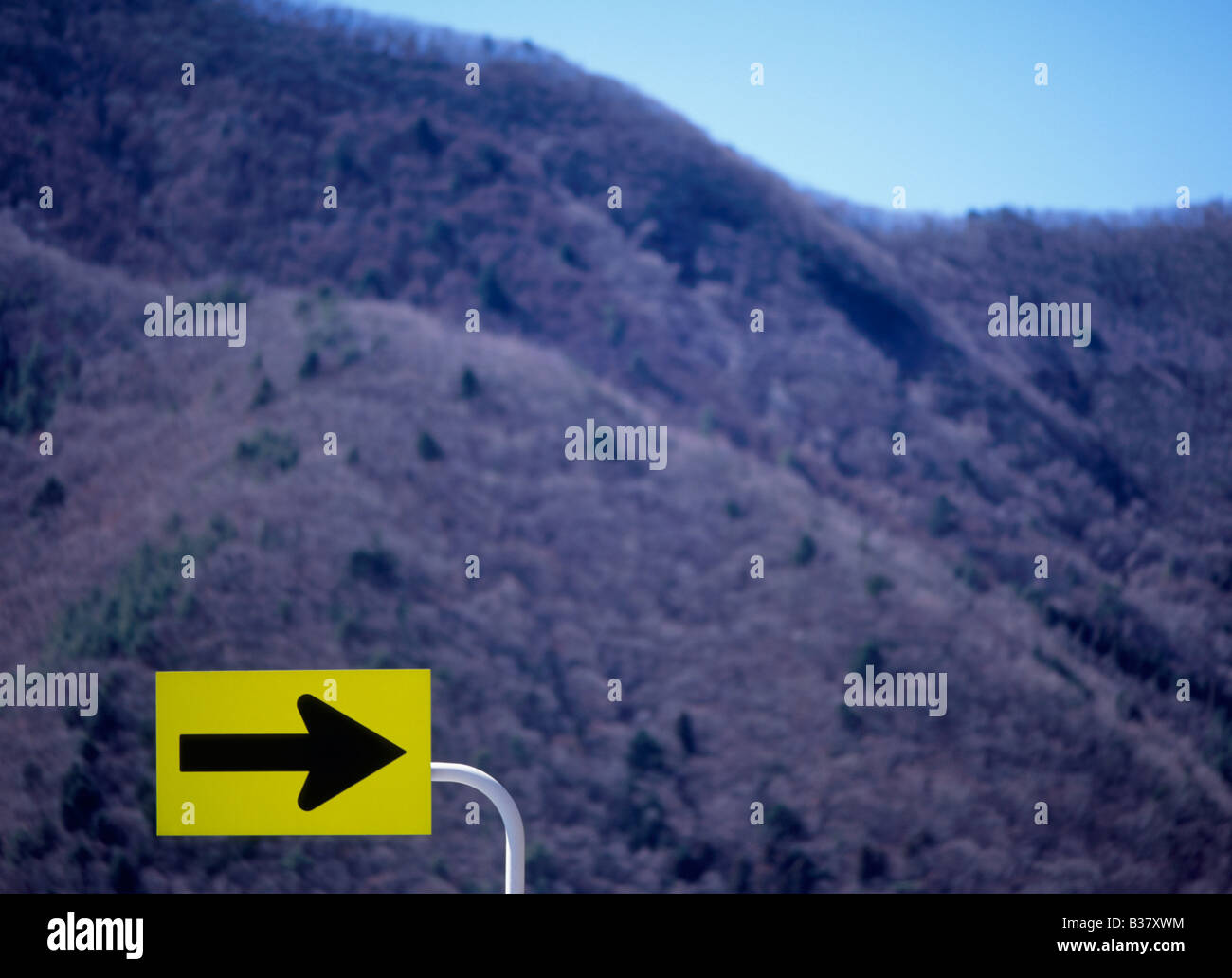 Straßenschild Stockfoto