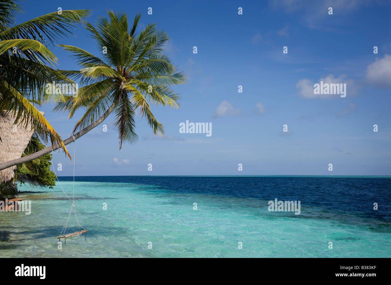 Seil Schaukel auf Süd Ari Atoll auf den Malediven in der Nähe von Indien Stockfoto