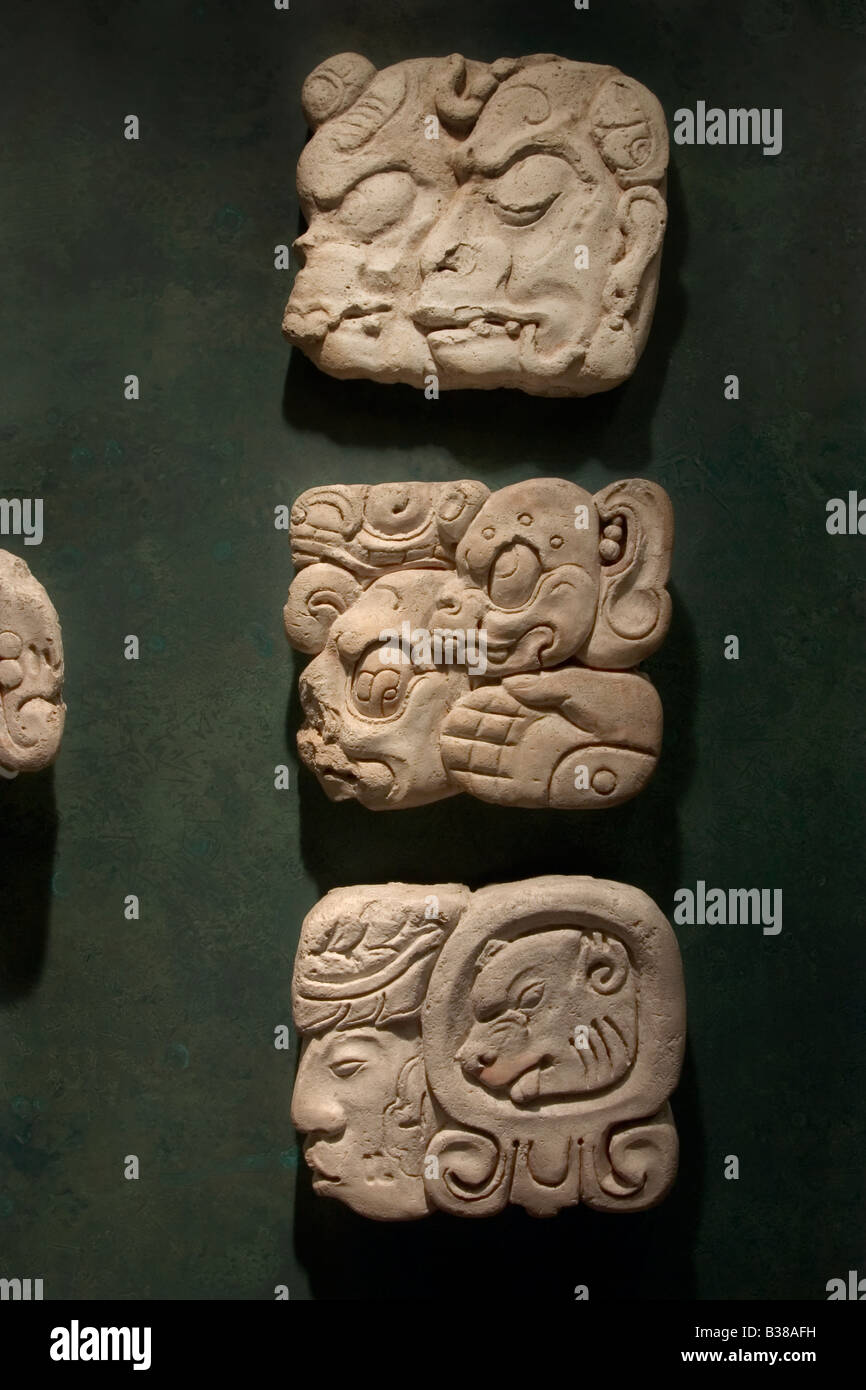 Maya-Glyphen im Nationalmuseum für Anthropologie in Mexiko-Stadt. Stockfoto