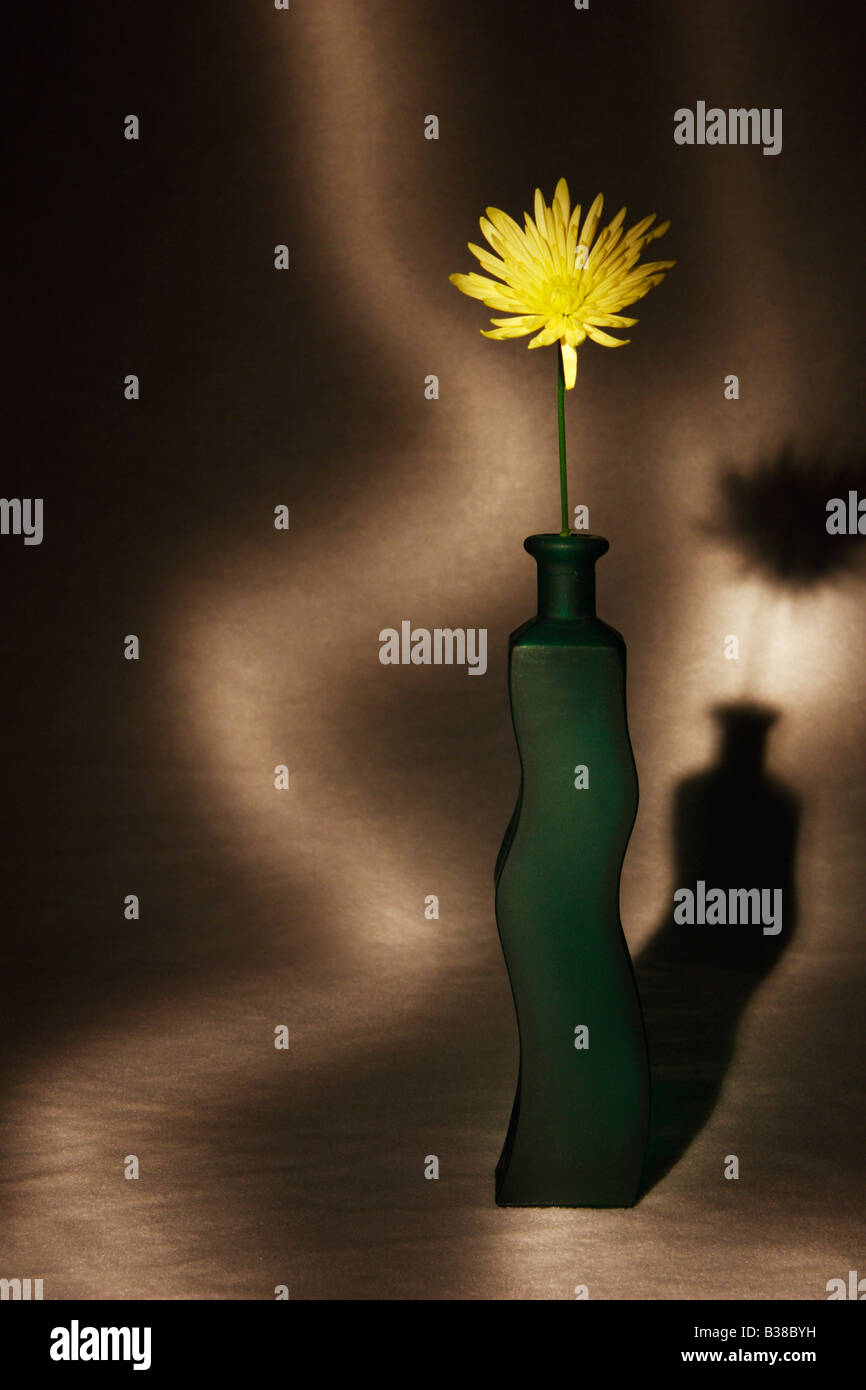 Chrysantheme in einer skurrilen Vase. Stockfoto