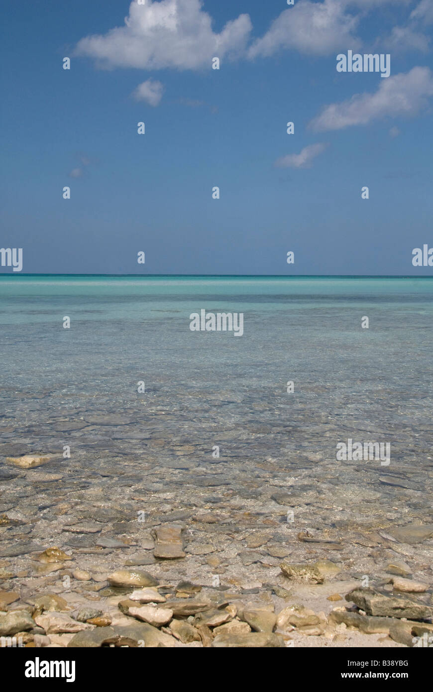 eine kubanische Seenlandschaft Stockfoto