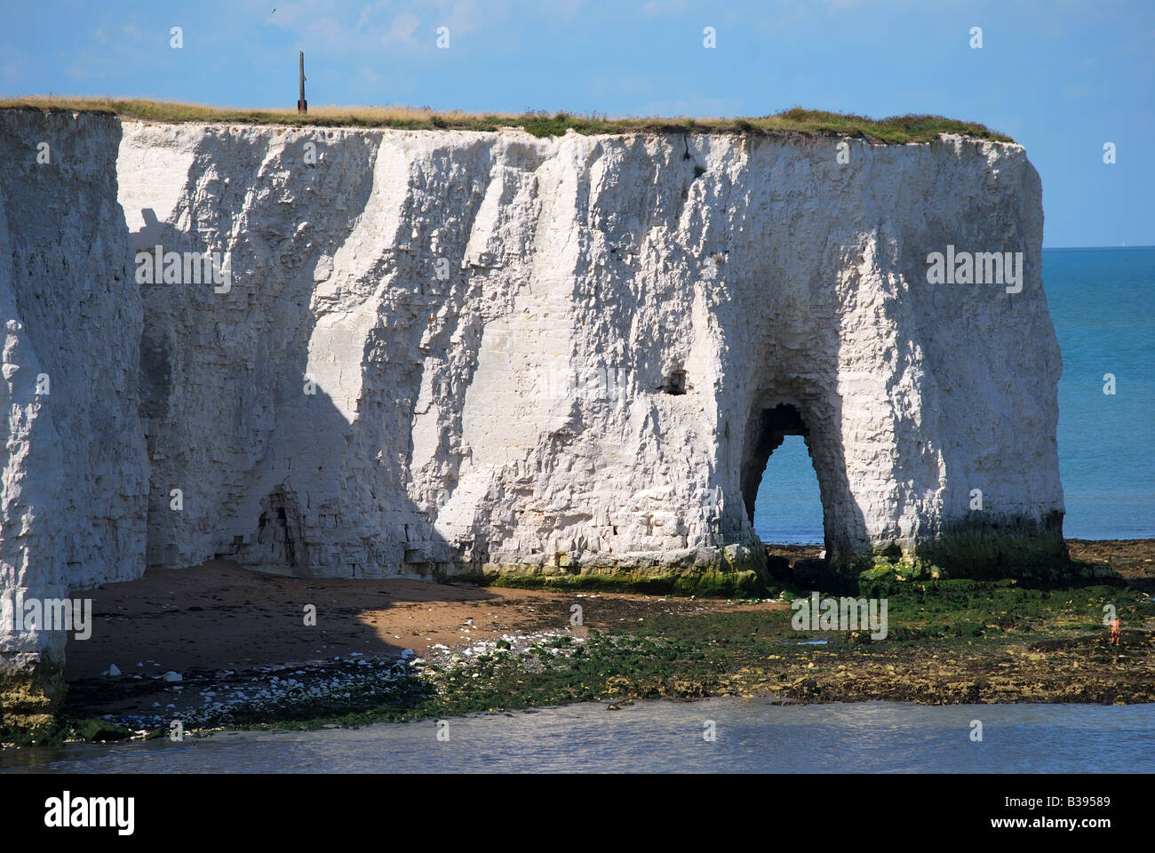 Chalk Cliffs, Kingsgate Bay, in der Nähe von Broadstairs, Kent, England, Vereinigtes Königreich Stockfoto