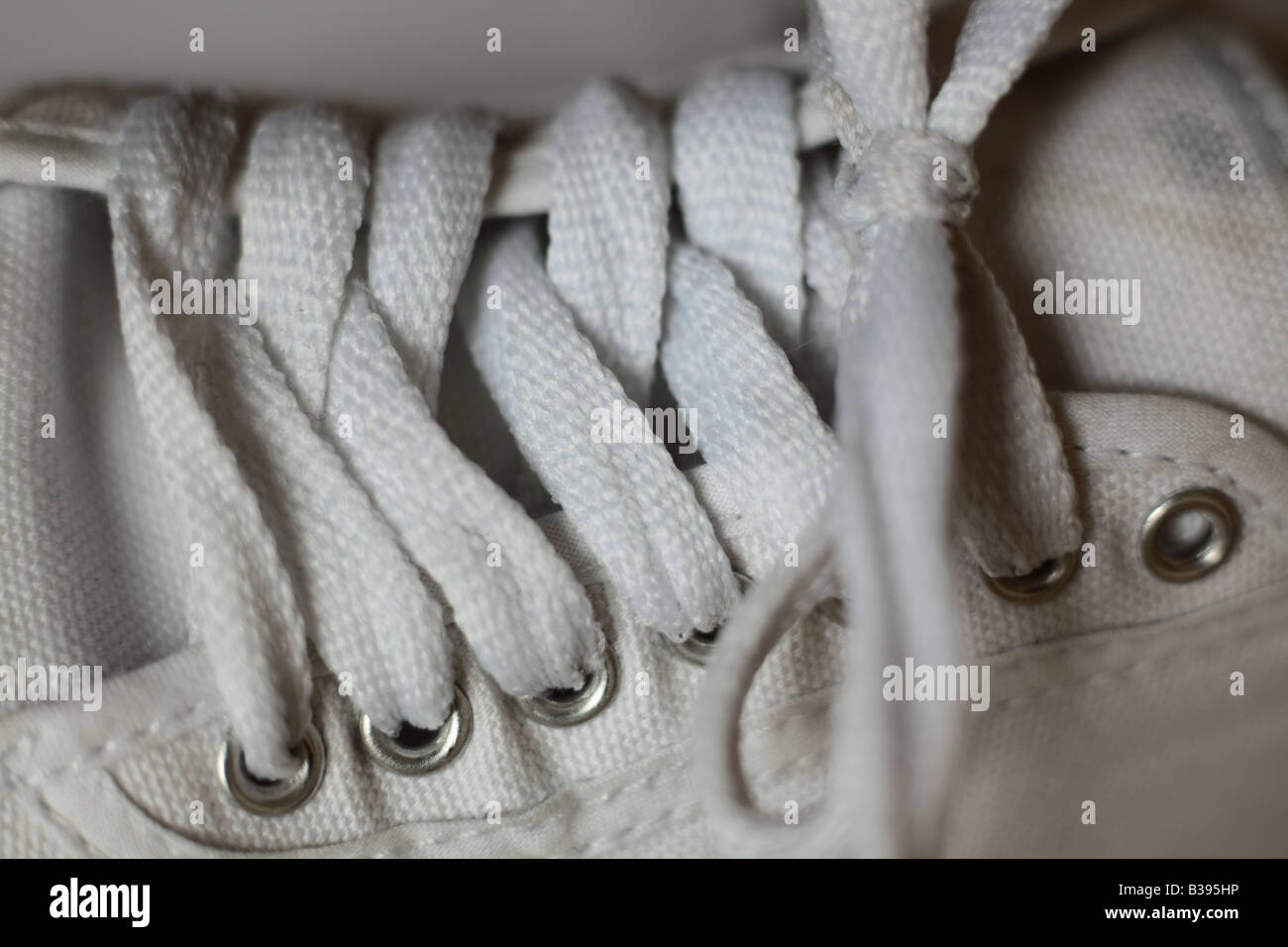 Schnürsenkel auf einem Plimsoll-Schuh Stockfoto