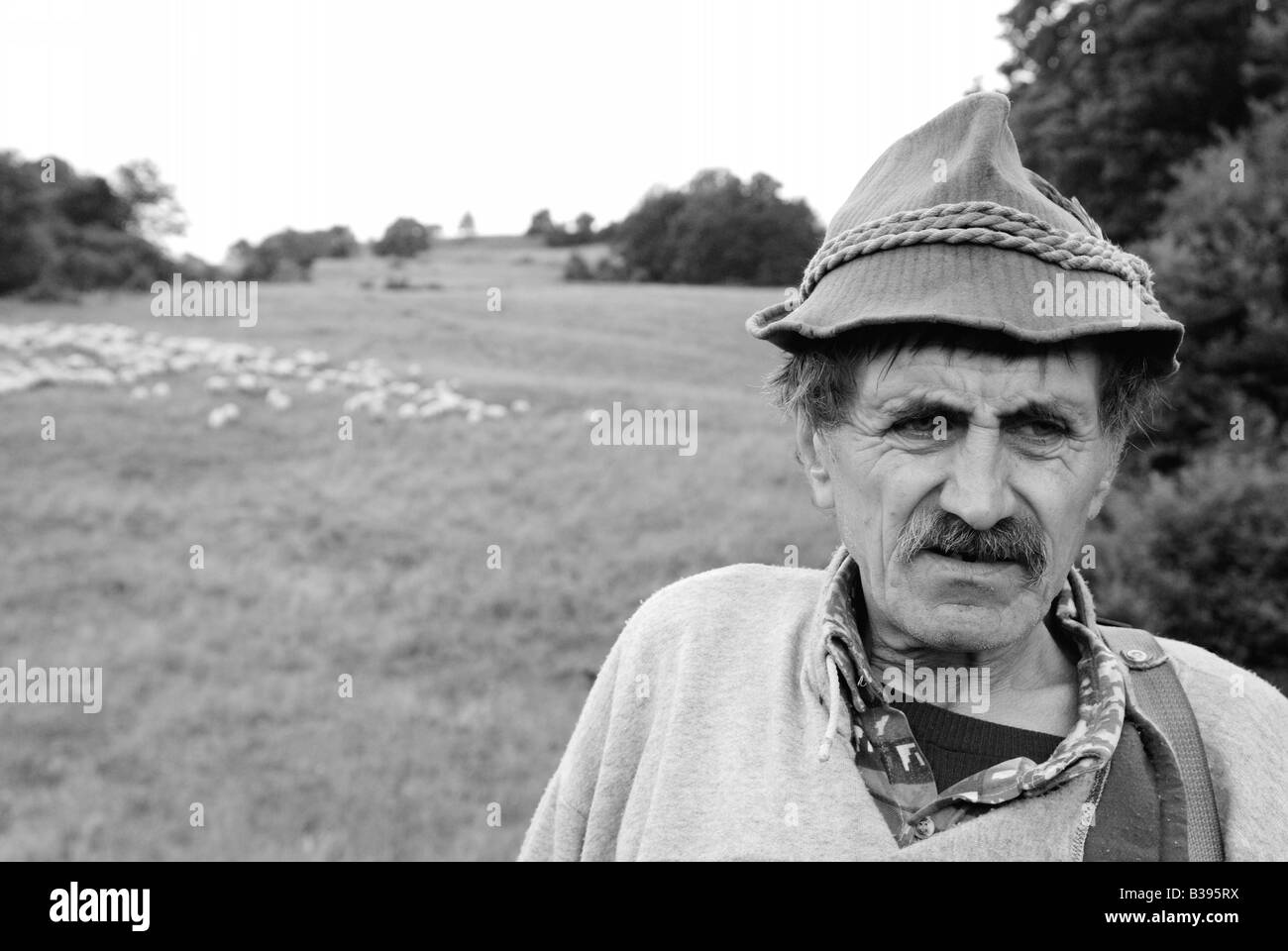Porträt von Reifen Sheperd Mann mit Gras- und Schafe im Hintergrund große Fatra Gebirge Slowakei Sommer 2008 Stockfoto