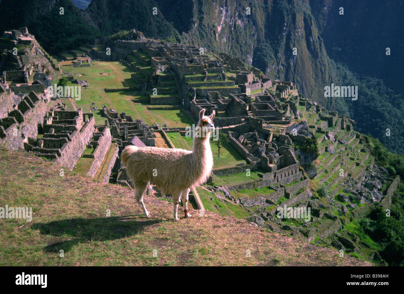Die Ruinen von Machu Picchu, der verlorenen Stadt der Inkas in Peru Südamerika Stockfoto