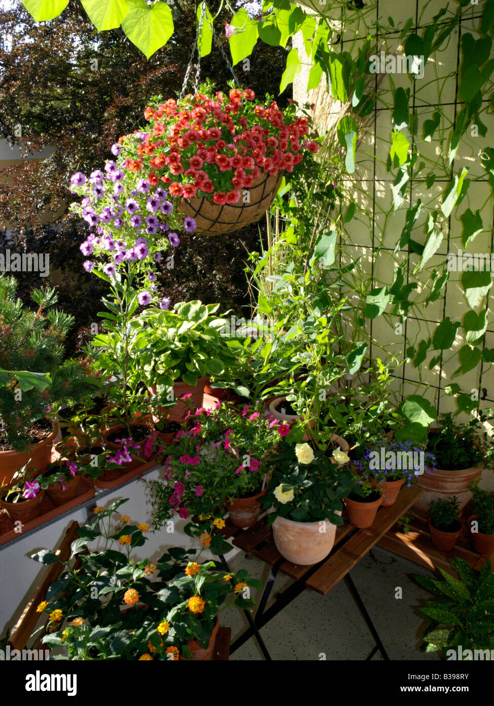 Balkon mit zahlreichen Topfpflanzen Stockfoto