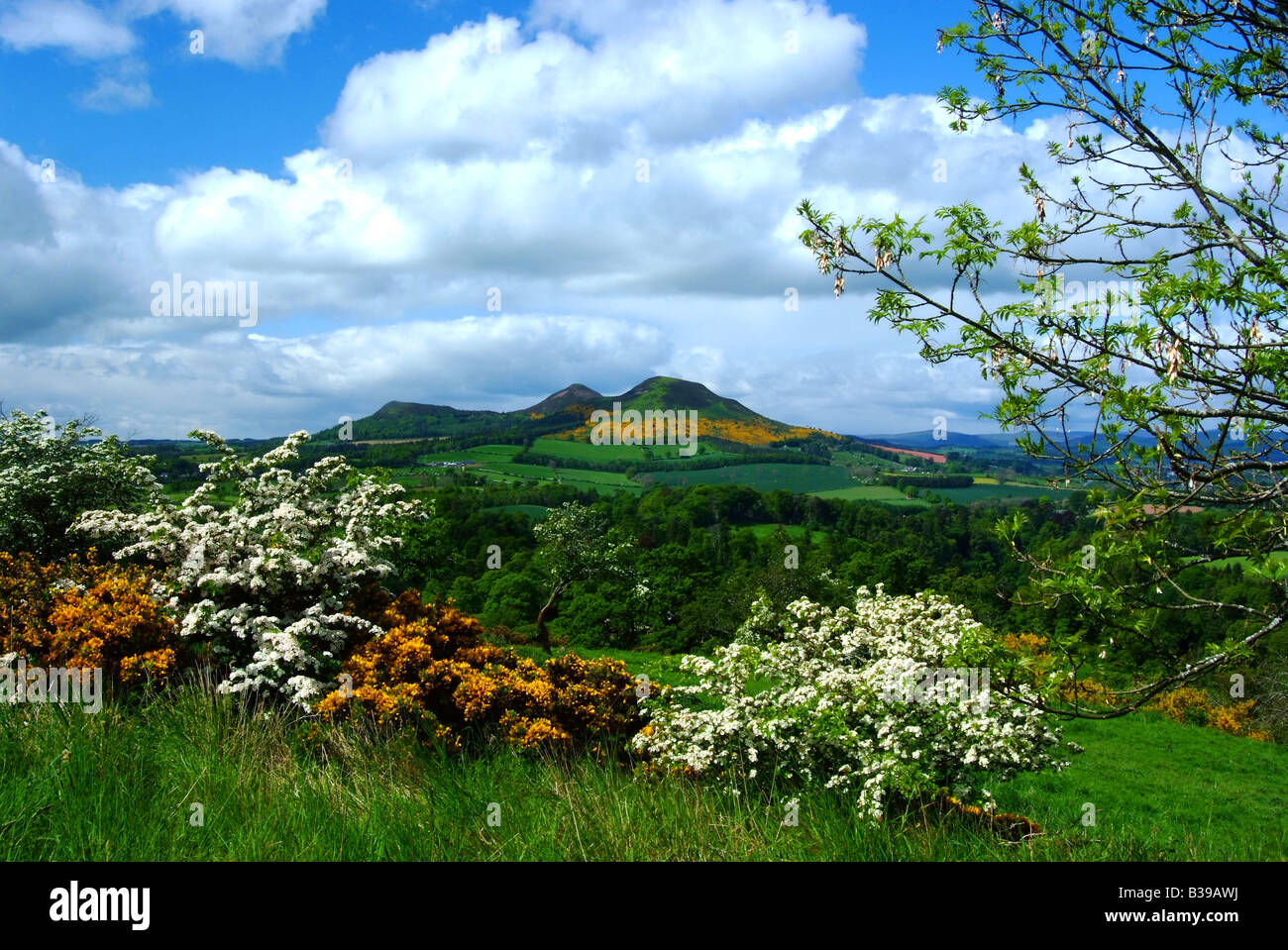 UK Schottland grenzt Roxburghe Scotts View und die Eildon Hills Stockfoto