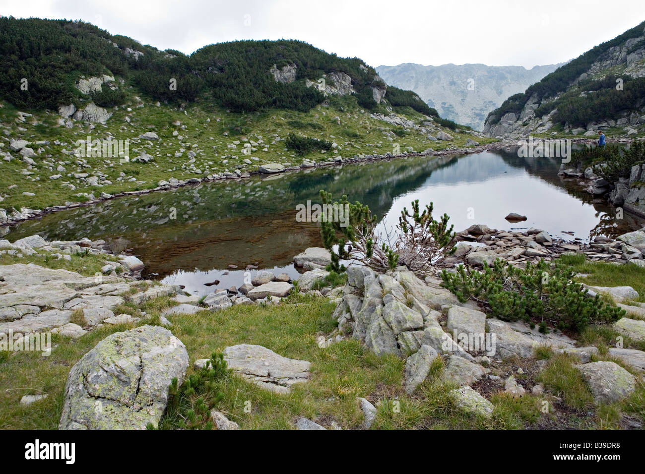Ufer des See Samodivski Ezera in World Heritage Site Nationalpark Pirin Bulgarien Stockfoto
