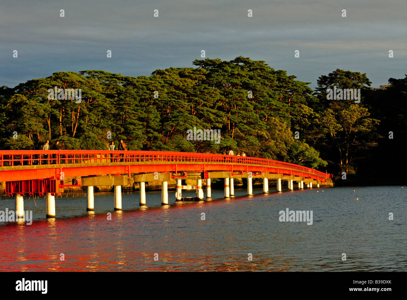 Brücke über eine Kiefer Insel Matsushima Bucht Japan Stockfoto