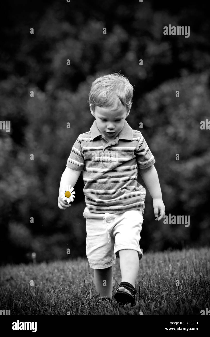 Hübscher Junge zu Fuß im Feld mit ein Gänseblümchen in seiner hand Stockfoto