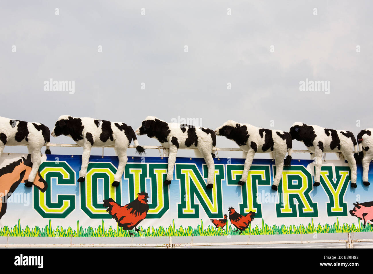 Spielzeug Kühe auf einem Rummelplatz Banner am Country Fair liegen, Galston, Ayrshire, Schottland, Großbritannien Stockfoto