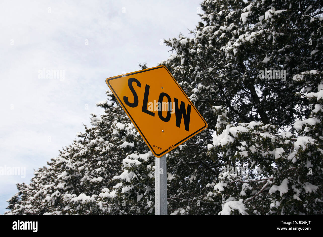 Schneebedeckte Bäume und Verkehrszeichen Stockfoto