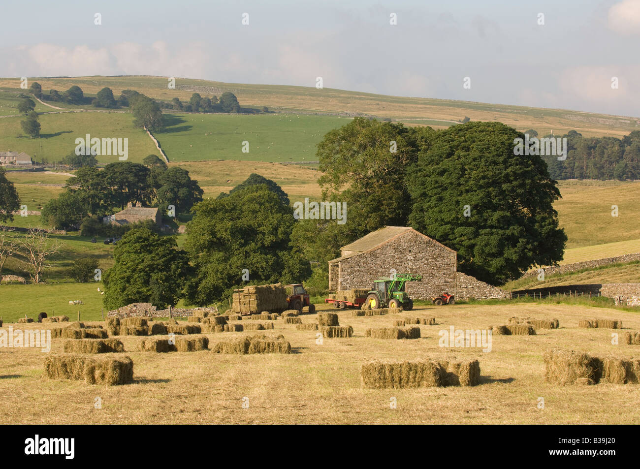Haytime auf einer Bio-Heu Wiese Ravenstonedale Cumbria Stockfoto Haytime auf einer Bio-Heu Wiese Ravenstonedale Cumbria Stockfoto