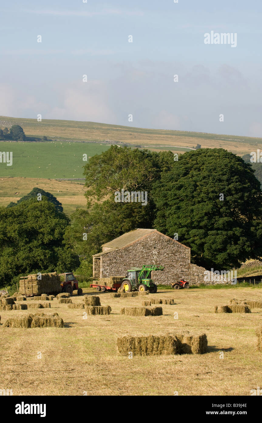 Haytime auf einer Bio-Heu-Wiese, Ravenstonedale Cumbria Stockfoto Haytime auf einer Bio-Heu-Wiese, Ravenstonedale Cumbria Stockfoto