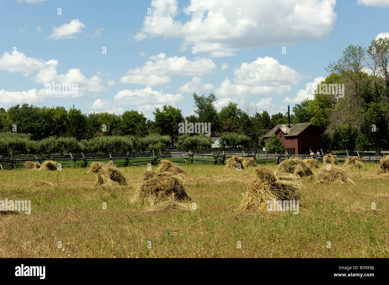 Firestone-Farm im Greenfield Village in Dearborn, Michigan USA Stockfoto