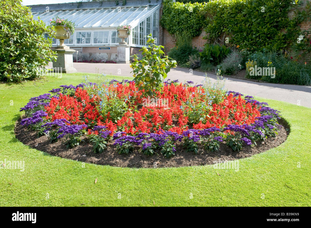 Sommer Beetpflanze Display Kreis Stockfoto