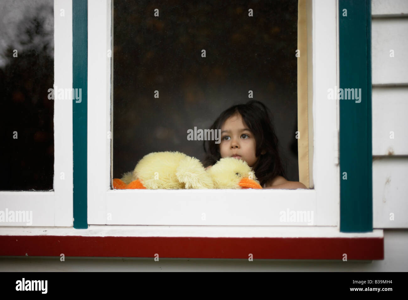 Mädchen im Alter von 5 blickt Fenster halten Stofftier Ente Stockfoto