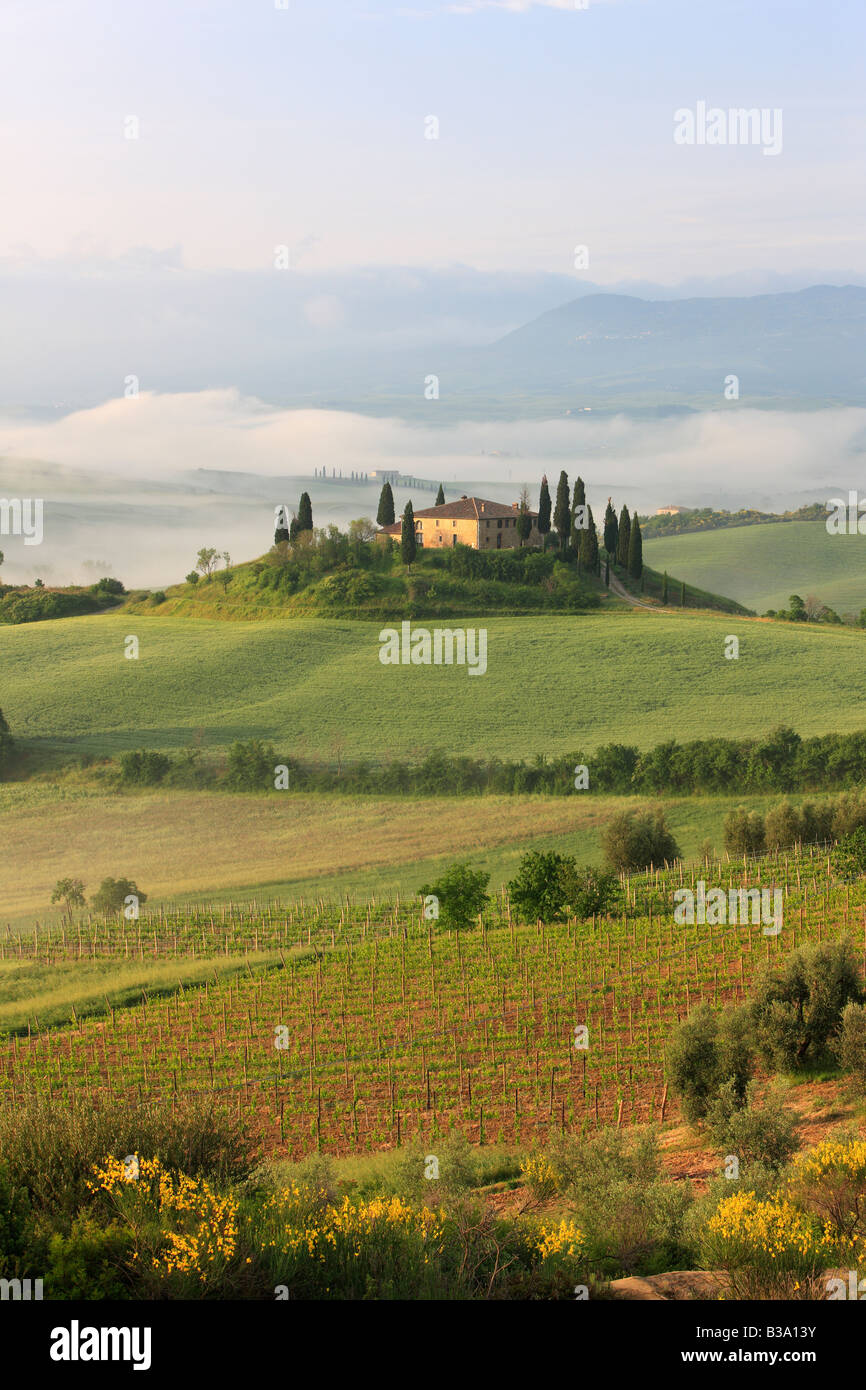 Blick über das Tal in Richtung Belvedere, "Val D'Orcia", Toskana, Italien Stockfoto
