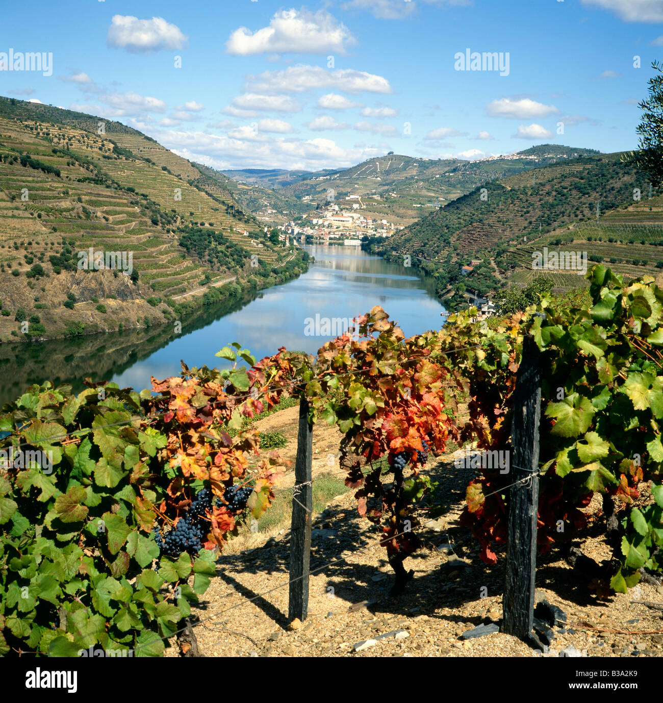 Portugal Minho Region Douro Fluss Reben Stadt von Pinhao fernen Stockfoto
