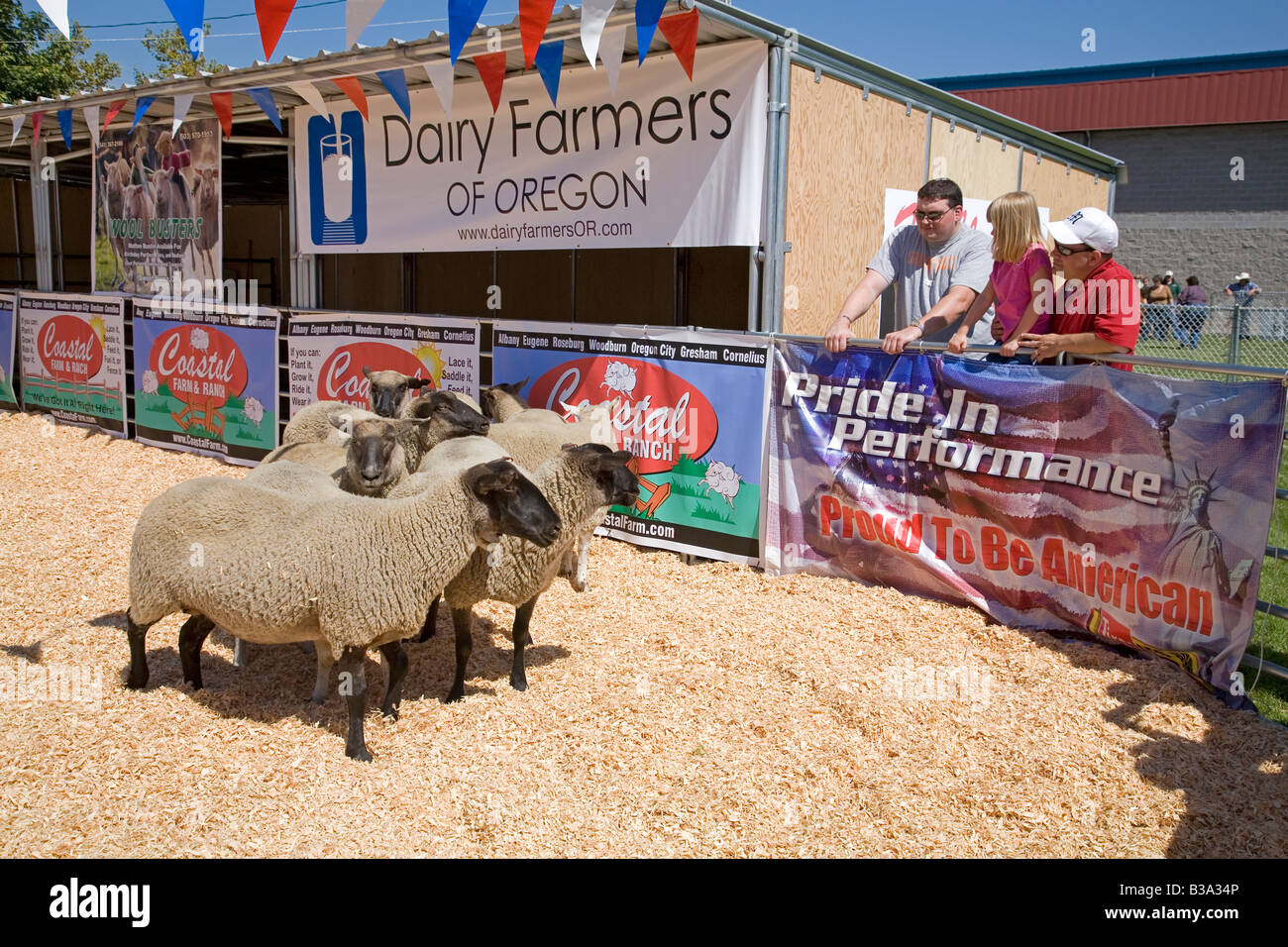 Besucher sehen ein Schaf in der Schaf-Ausstellung an der Oregon State Fair zeigen Stockfoto
