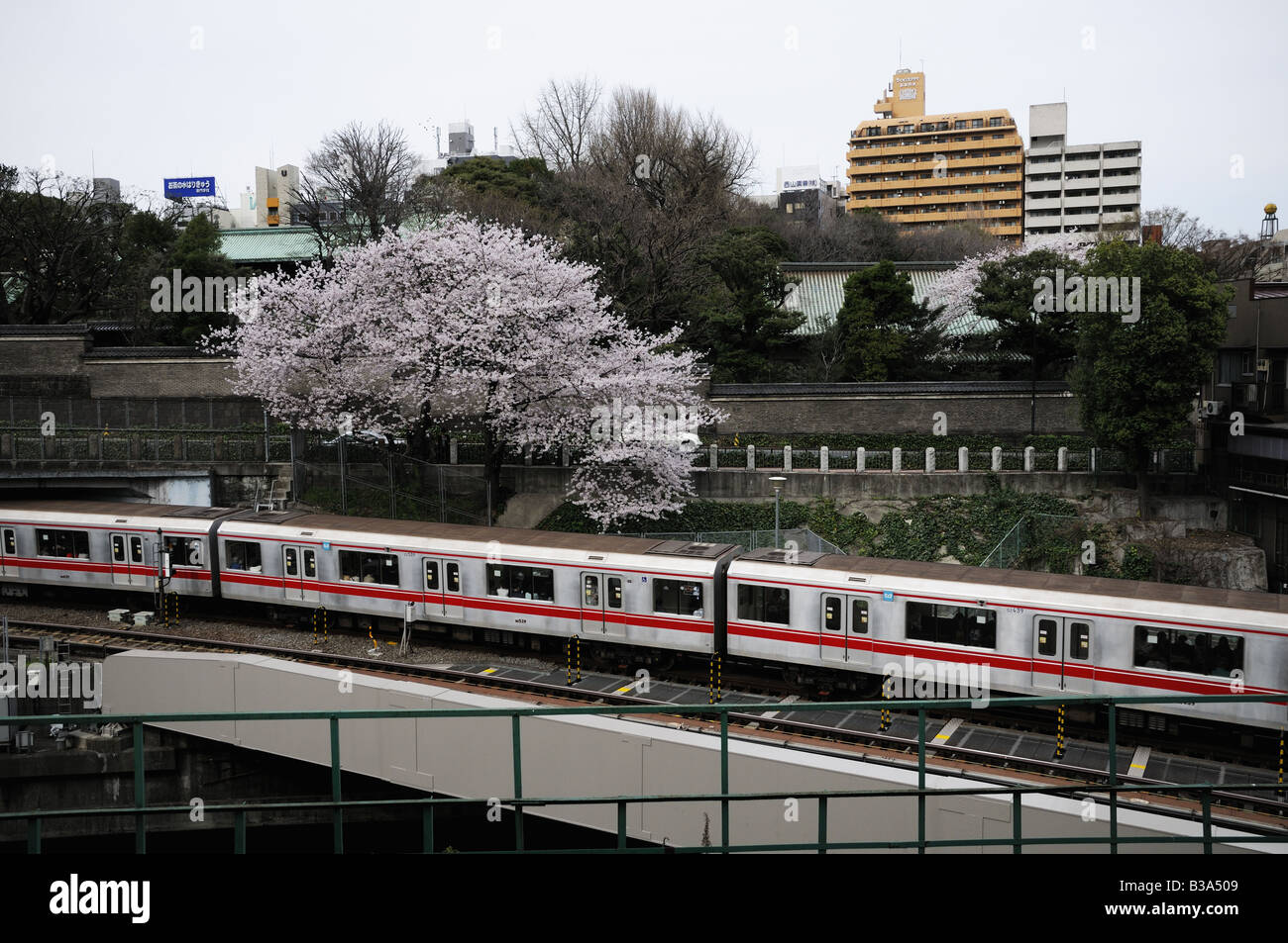 Kirschblüte und Marunouchi-Linie, Tokyo-Japan Stockfoto