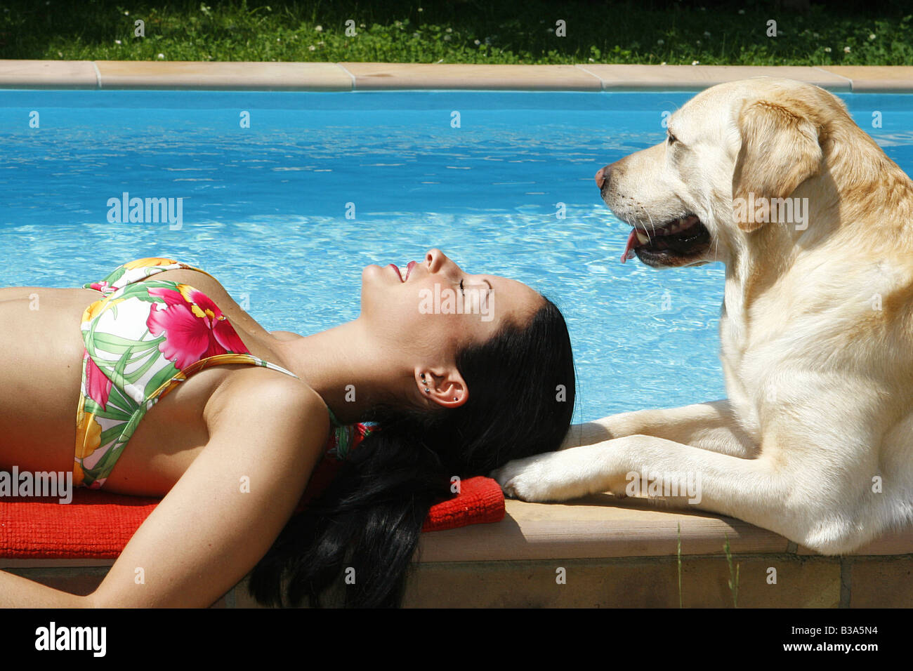 junge Frau - schlafen am Rand des Schwimmbades neben Labrador Retriever Stockfoto