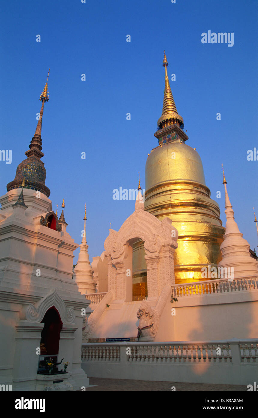 Thailand, Chiang Mai, Wat Suan Dok Stockfoto