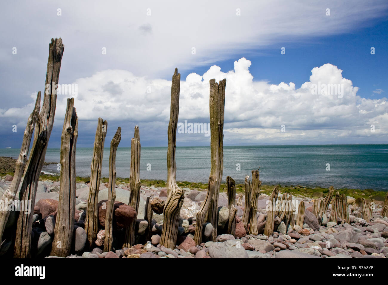 Holz bleibt ein Slip Weg auf einem verlassenen unzugänglichen Strand an der Nordküste von Devon Stockfoto