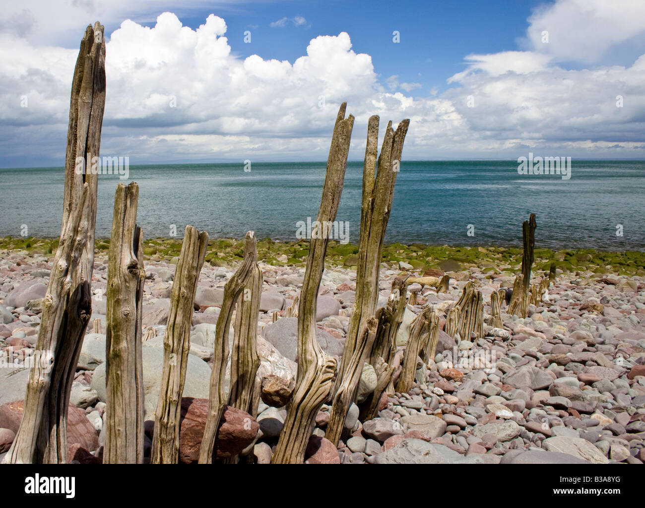 Holz bleibt ein Slip Weg auf einem verlassenen unzugänglichen Strand an der Nordküste von Devon Stockfoto
