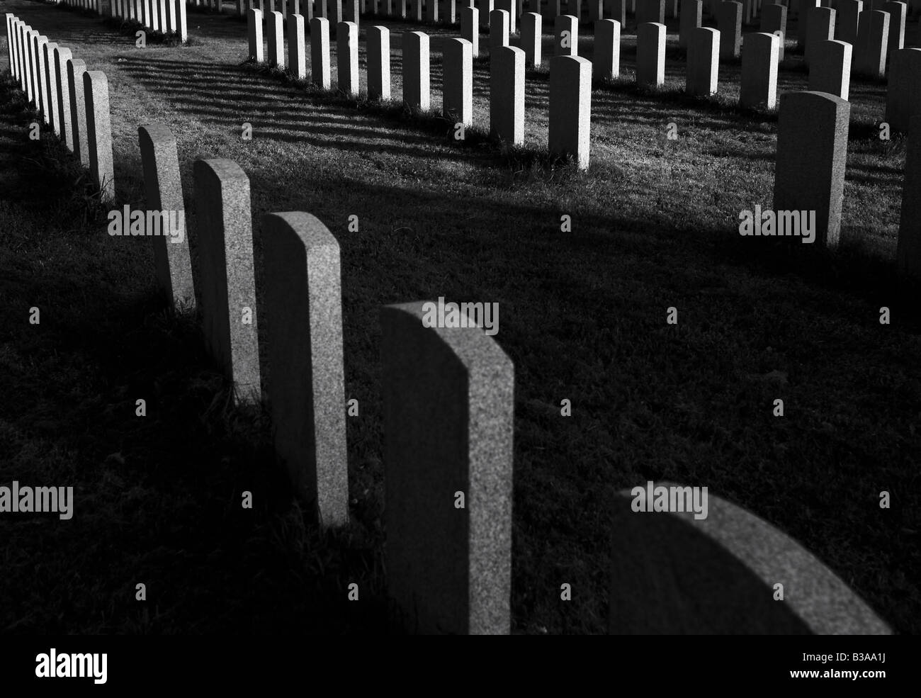 Einen schönen Grabstein auf einem Friedhof. Militärische Grabsteine Ehre, unsere verlorene Liebe, Helden zu bezahlen. Grabstein, Sarg, Ewigkeit. Stockfoto