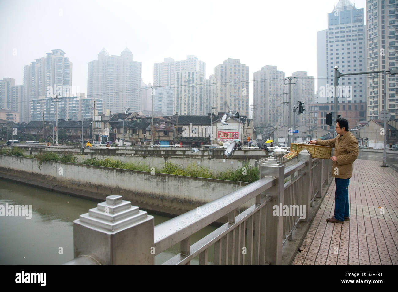 Chinesischer Mann loslassen Tauben in Shanghai Stockfoto