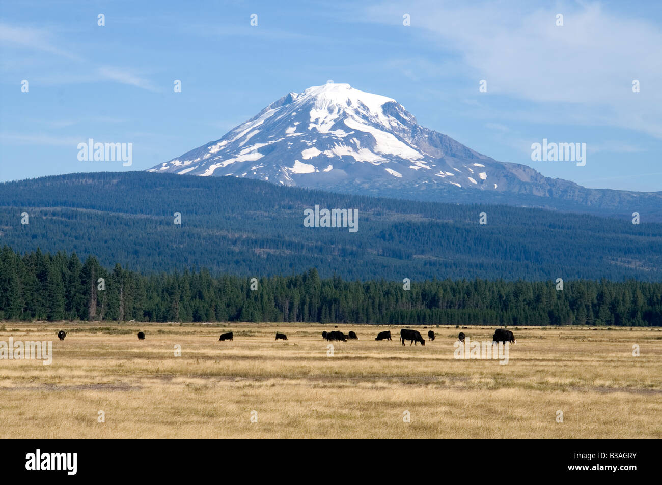 Mt Adams Cascade Mountains Washington State in der Nähe von Conboy Lake National Wildlife Refuge Stockfoto