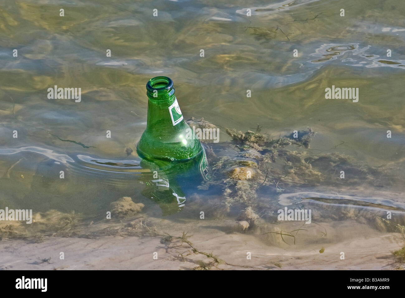 Grüne Bierflasche im Wasser Stockfoto Grüne Bierflasche im Wasser Stockfoto