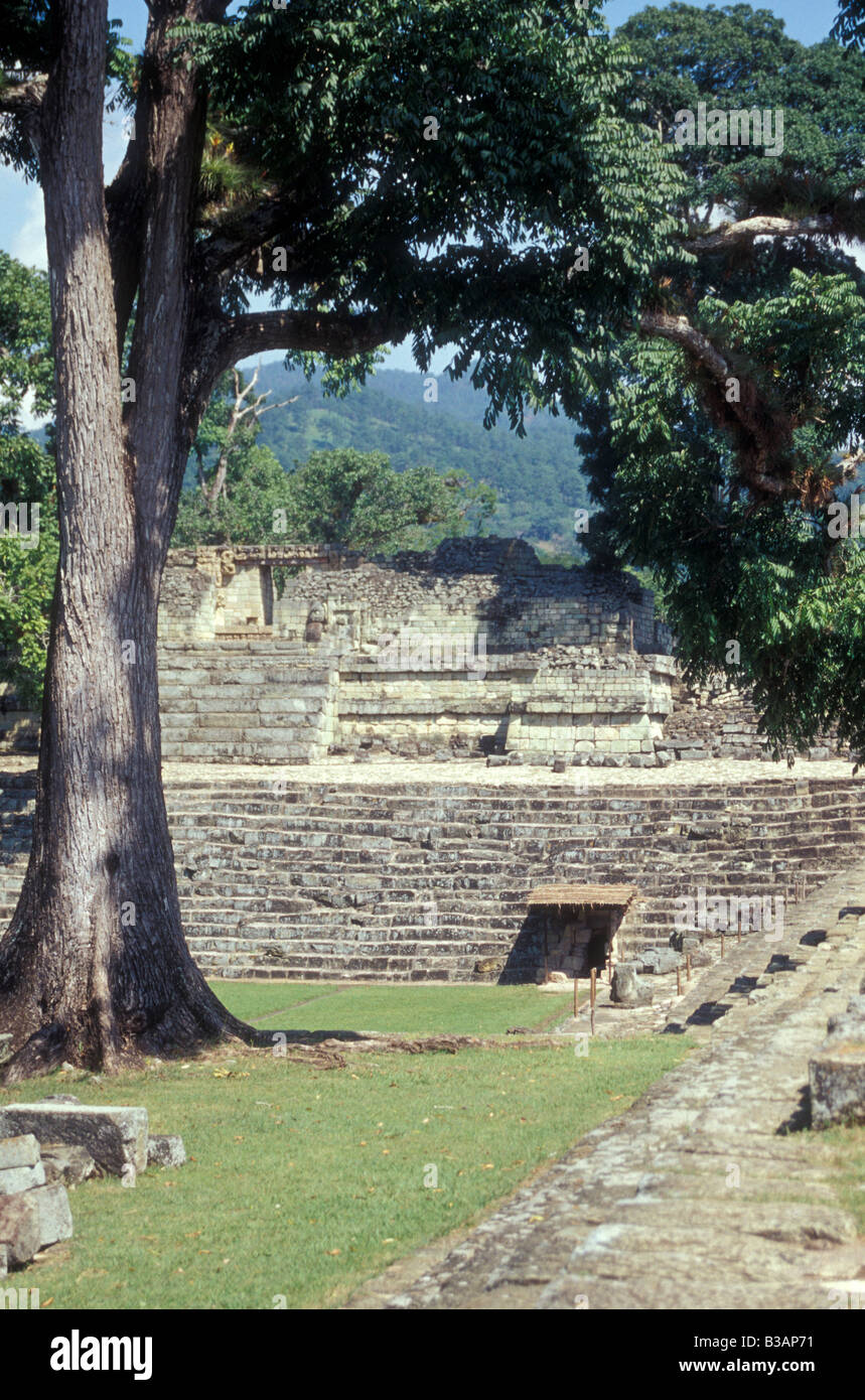 Tempel 22 bei den Maya Ruinen von Copan, Honduras, Mittelamerika Stockfoto