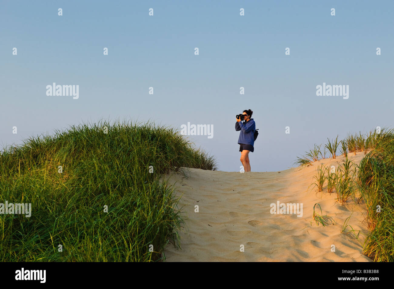 Frau Landschaftsfotografen komponiert Bild von einem Strand Düne im Licht frühen Morgens, Cape Cod, MA Stockfoto