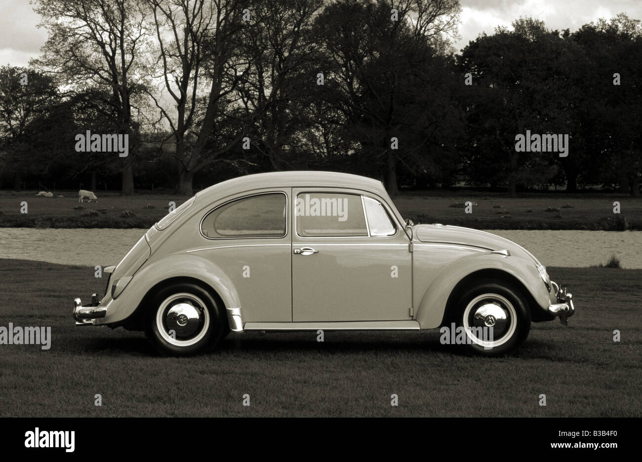 VW Käfer 1500. Stockfoto