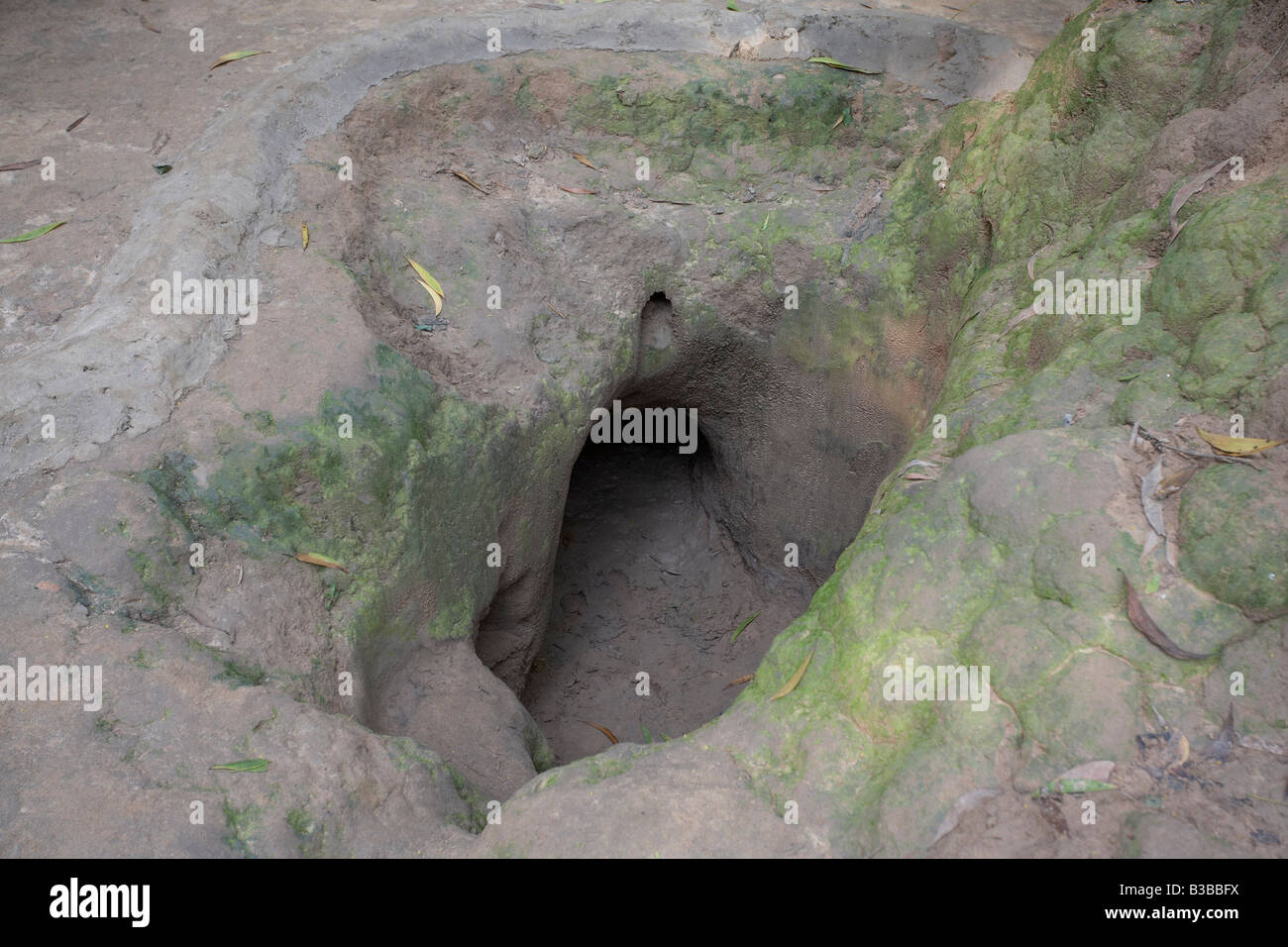 Cu Chi Tunnel, Cu Chi, Ho-Chi-Minh-Stadt, Vietnam Stockfoto