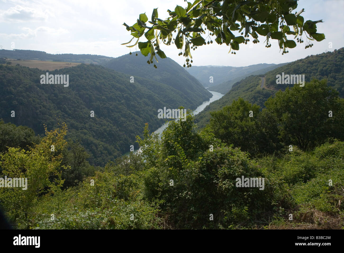 Fluss Tarn schlängelt durch die Gorges du Tarn Stockfoto