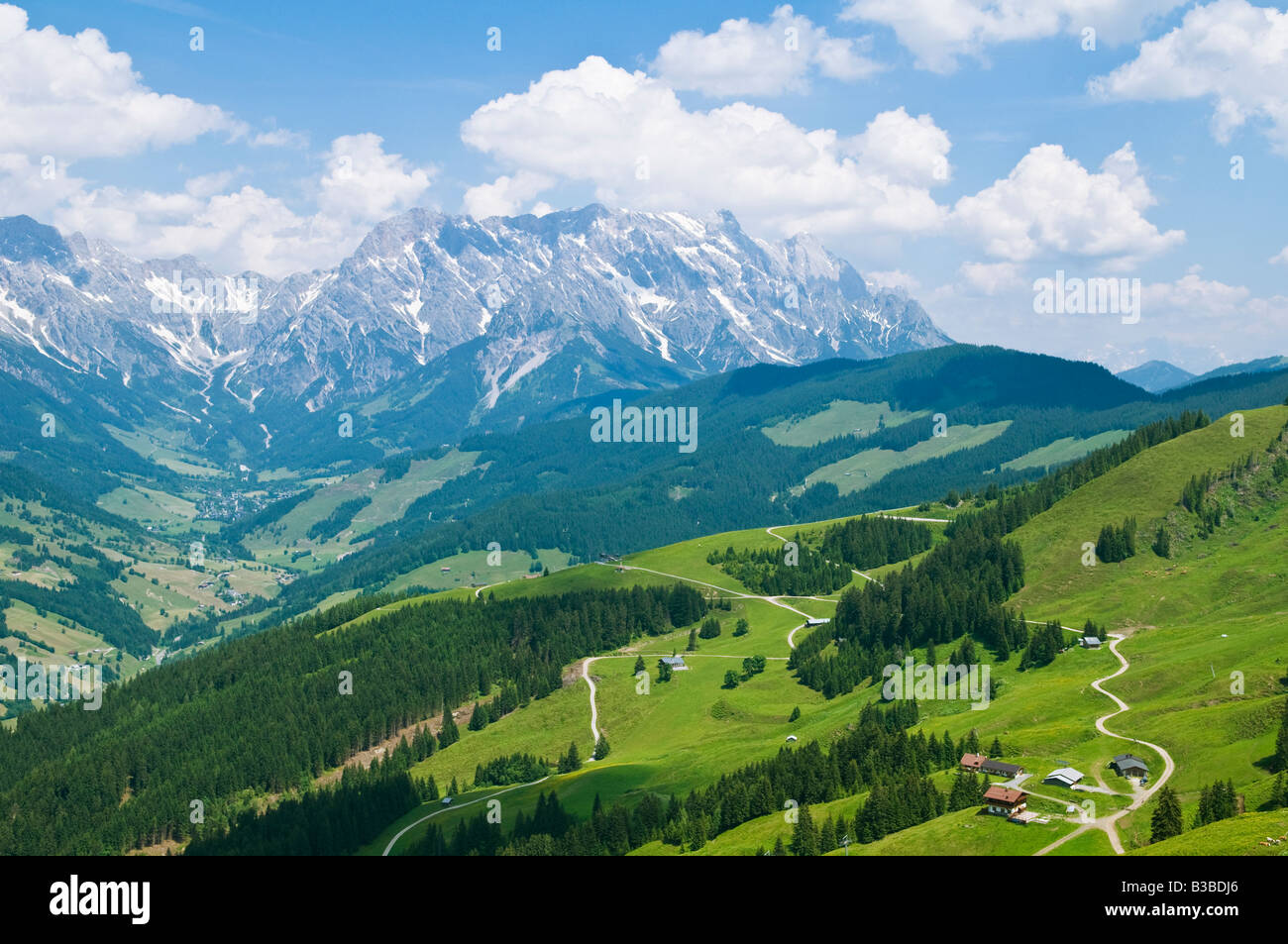 Grünen alpine Hügel Dientner Berge und fernen Gipfel des Hochkönig (2941m) in der nördlichen Kalkalpen, Österreich Stockfoto