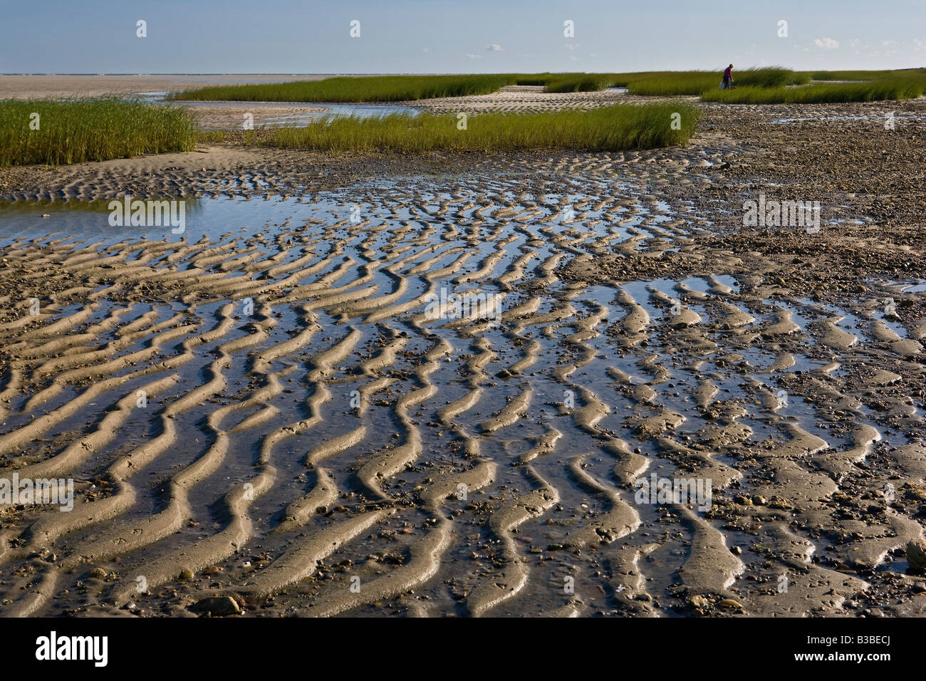 Tidal Basin Cape Cod Bay Massachusetts Stockfoto