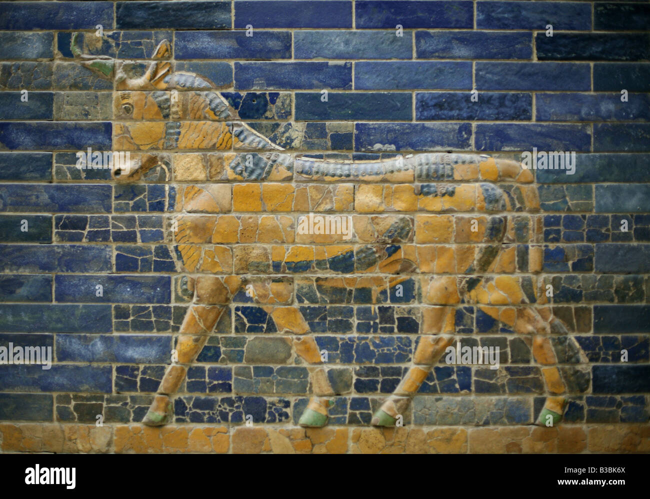 Glasierte Fliesen mit einer Auerochsen aus das Ischtar-Tor im Pergamonmuseum in Berlin, Deutschland Stockfoto