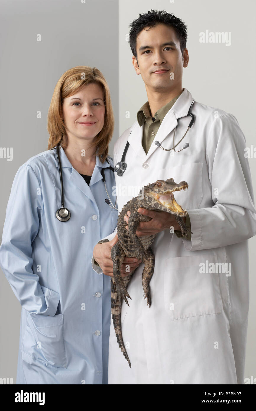 Tierärzte mit Alligator Stockfoto